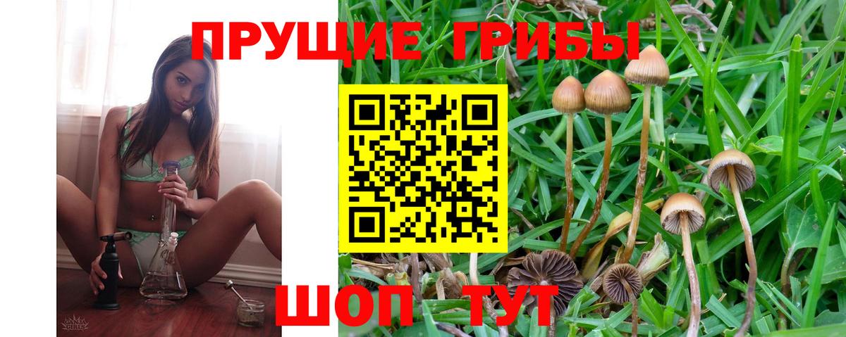 Галлюциногенные грибы MAGIC MUSHROOMS Астрахань
