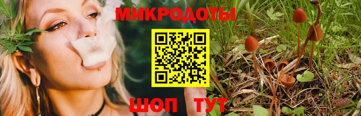 где можно купить   Вход с VPN  Астрахань  Псилоцибиновые грибы мухоморы 