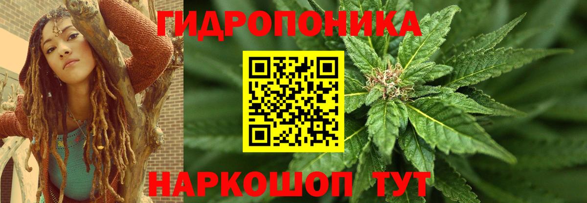 Бошки марихуана VHQ  Бошки Шишки Bruce Banner  Астрахань  Вход с VPN  Шишки марихуана индика 
